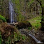 Cascata da Água D Alto - Faial