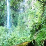 Cascata da Água D Alto - Faial