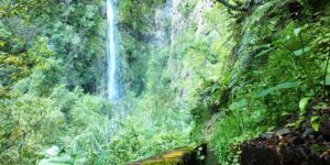 Cascata da Água D Alto - Faial